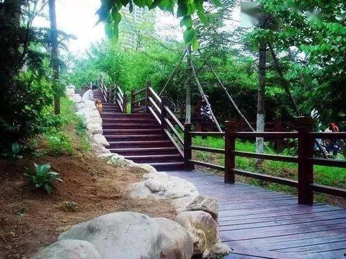 长春美人松街最新爆料,揭秘老街新颜,漫步时光隧道